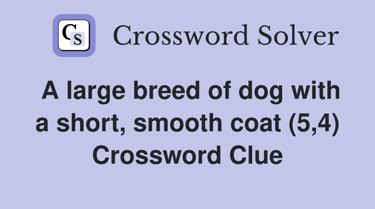 A large breed of dog with a short, smooth coat (5,4) Crossword Clue